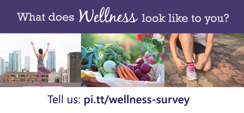wellness survey banner