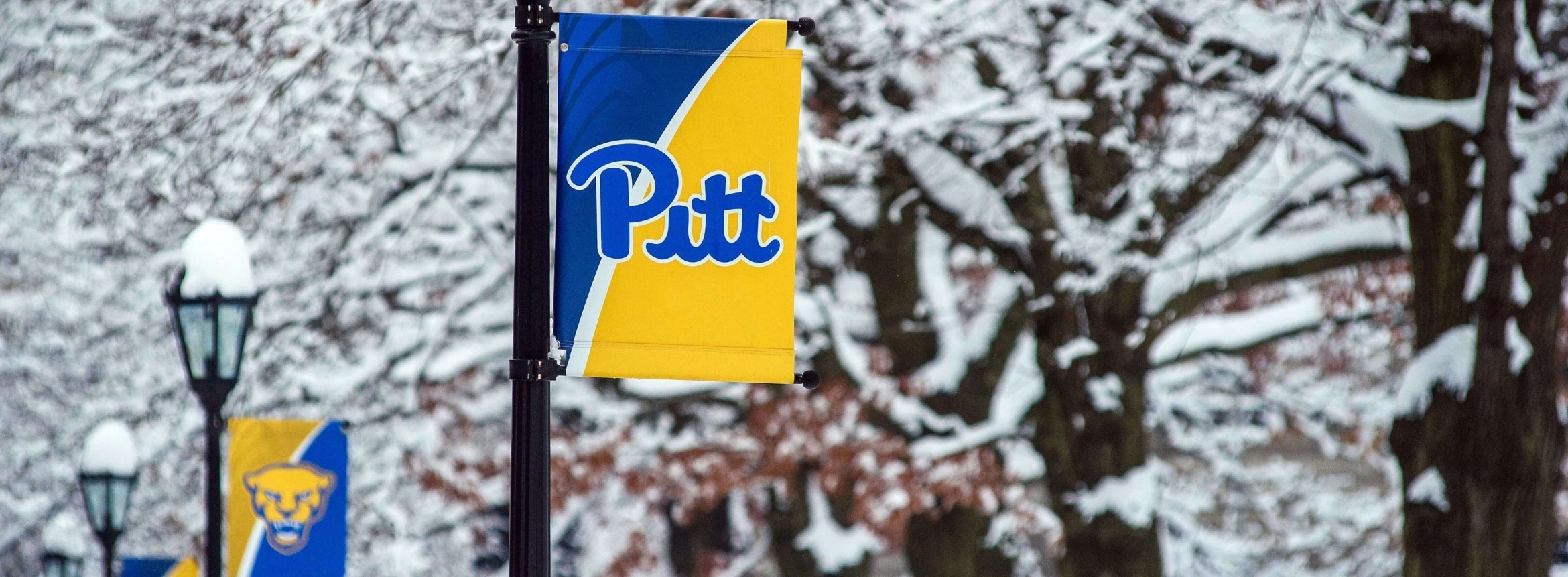 Pitt banners on light posts by trees covered in snow