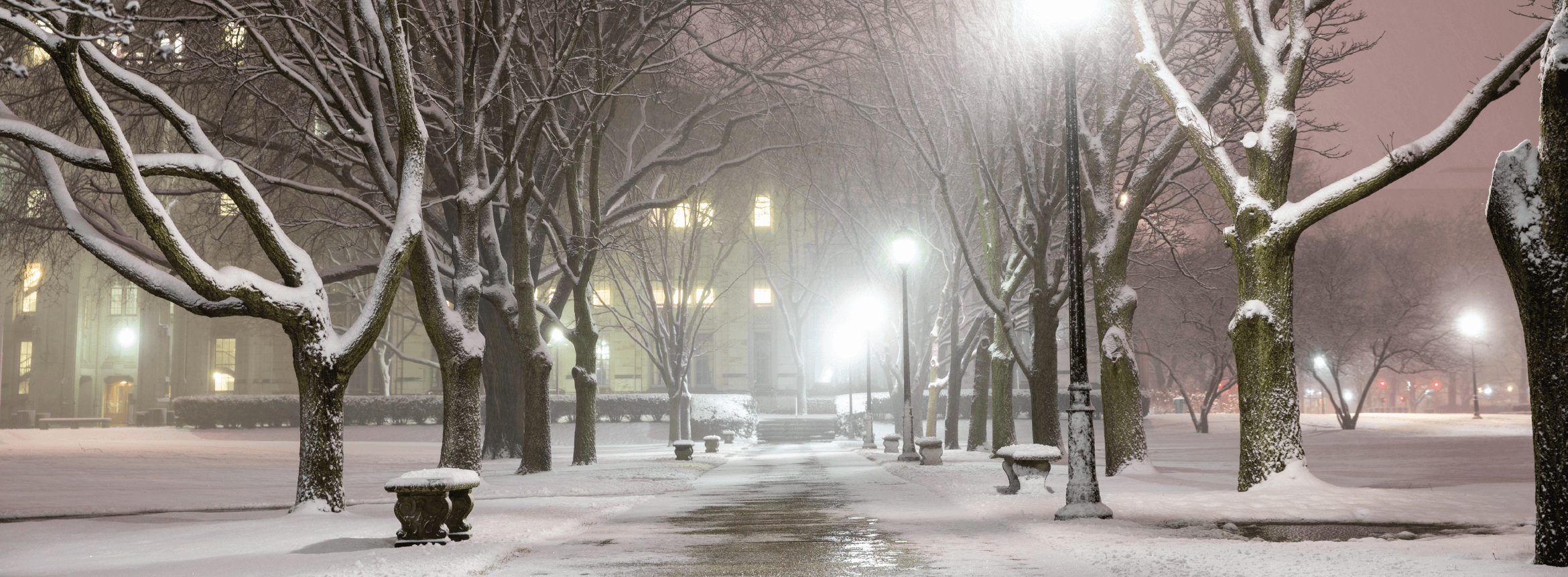 a snowy sidewalk at night near the cathedral of learning