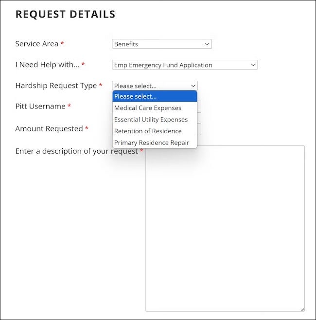 application form
