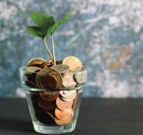 A plant growing in a cup filled with coins