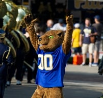 roc the panther at a football game