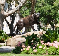 panther statue