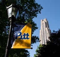 pitt campus and cathedral of learning