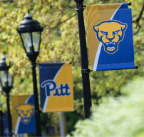 A row of Pitt banners surrounded by greenery